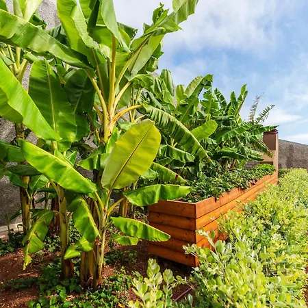 Villa Refugio Na Escarpa Luxury